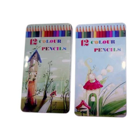 COLORES X12 LATA - 6 PZAS