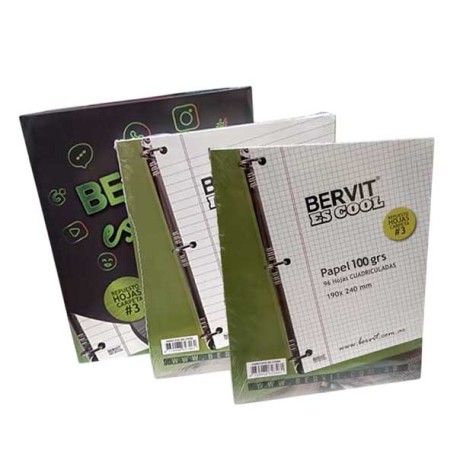 BERVIT REPUESTO 480HOJAS CUAD / RAY 100Gr X1